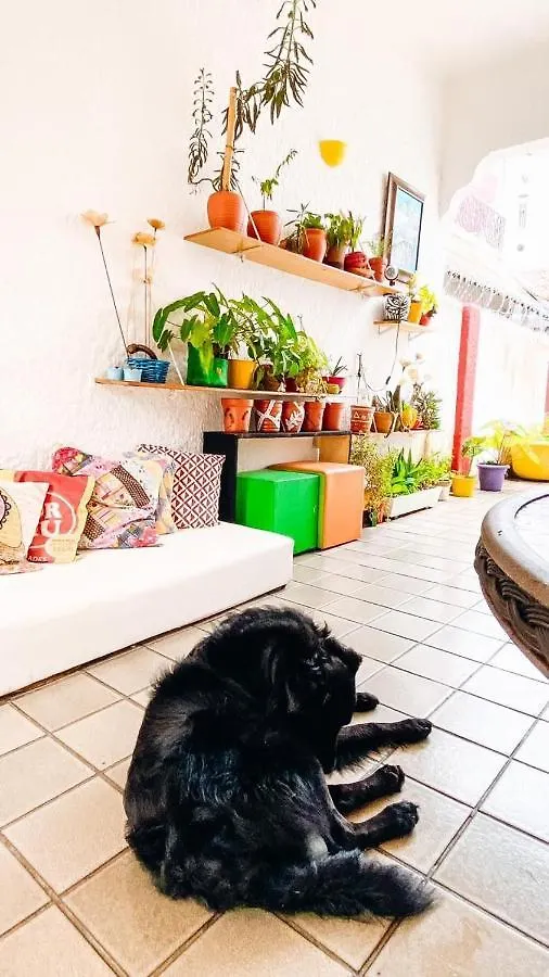 Zili Pernambuco - Hostel Pousada Recife Brazil