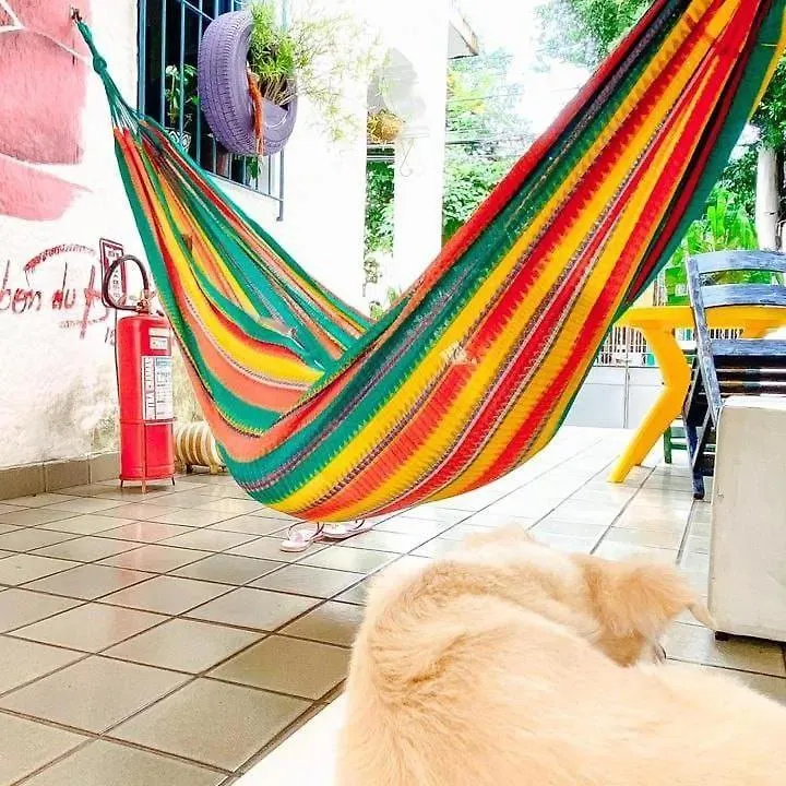 Zili Pernambuco - Hostel Pousada Recife